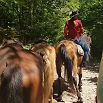 начовата къща стойките - пампорово Hébergement de vacances Vodata