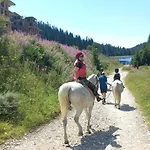 Hébergement de vacances начовата къща стойките - пампорово *