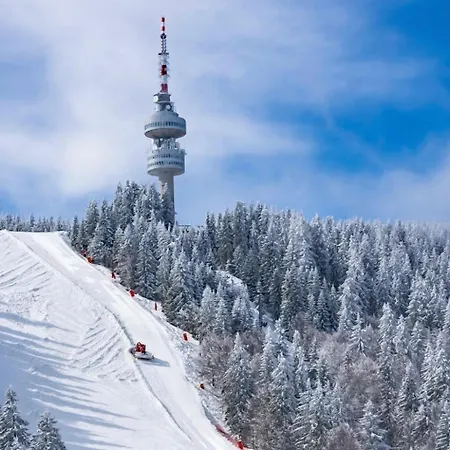 начовата къща стойките, пампорово